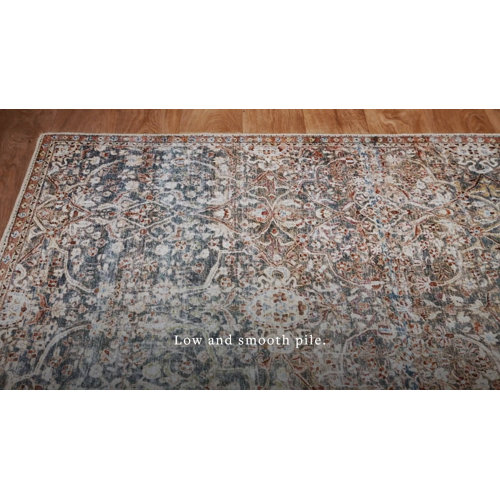 Jules Performance Denim/Spice Rug & Reviews Joss & Main